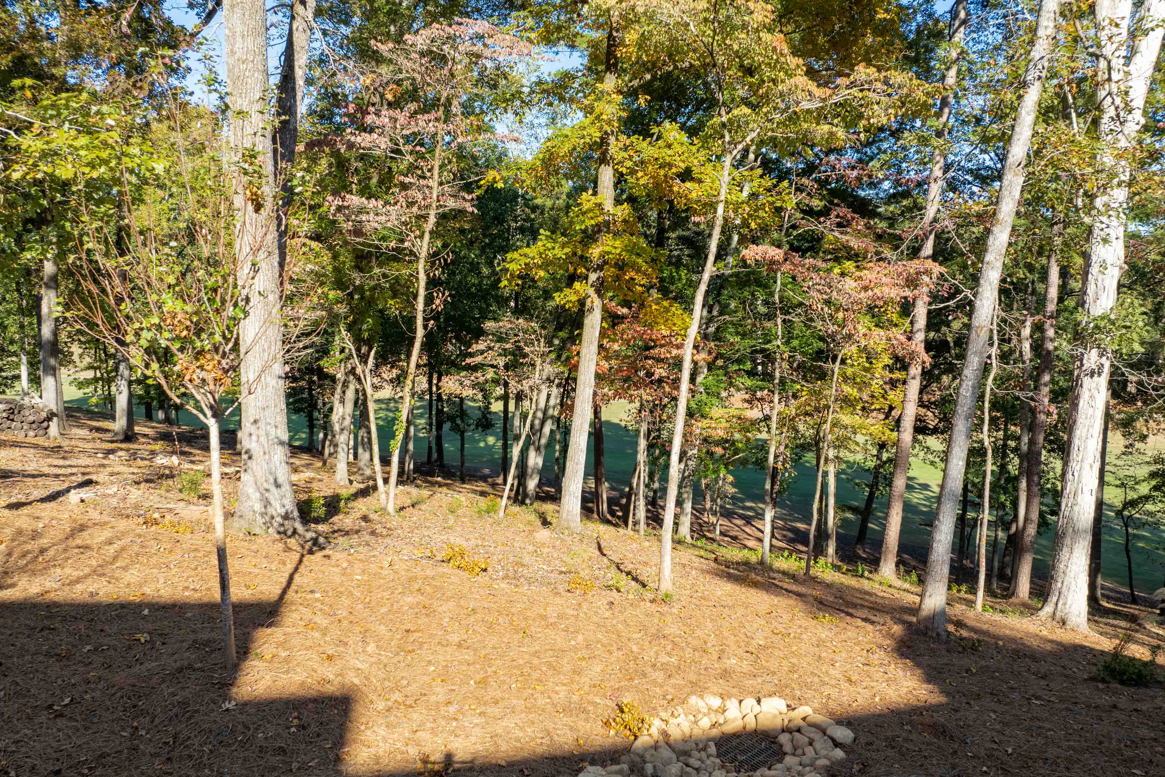 1050 Maple Ridge Way image 3